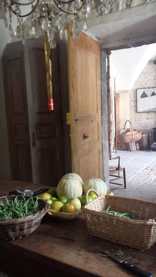 Chateau de Fontblachère Saint-Lager-Bressac Esterno foto