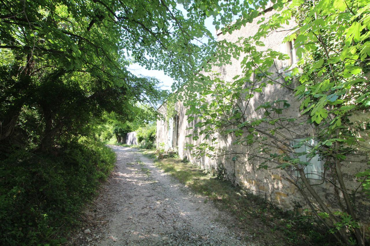Chateau de Fontblachère Saint-Lager-Bressac Esterno foto
